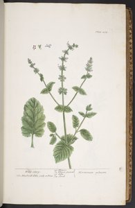 Tavola 258, da 