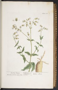 Tavola 268, da 