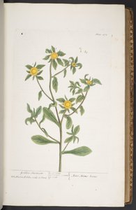 Tavola 272, da 