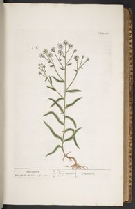 Tavola 276, da 