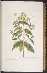 Tavola 278, da 