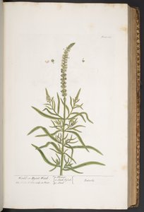 Tavola 283, da 