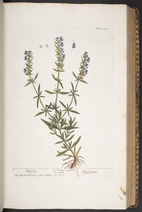 Tavola 296, da 
