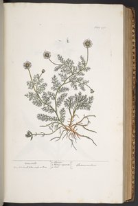 Tavola 298, da 