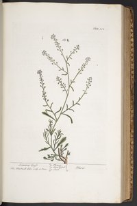 Tavola 312, da 