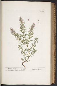 Tavola 318, da 