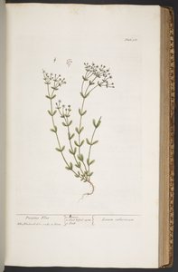 Tavola 368, da 