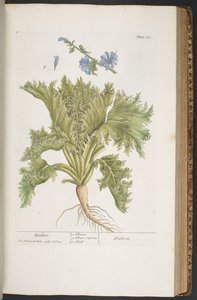 Tavola 378, da 