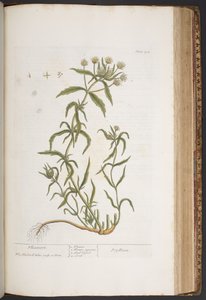 Tavola 412, da 