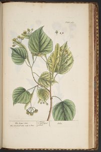 Tavola 469, da 