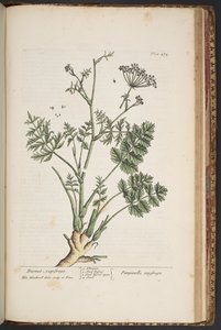 Tavola 472, da 