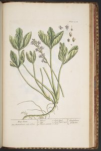 Tavola 474, da 