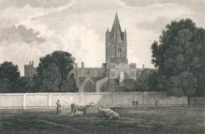 Cattedrale di Christ Church, Oxford da Elizabeth Byrne