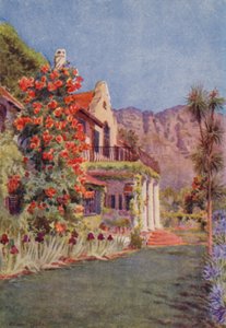 Bignonia grandiflora a Paradise, Claremont (litografia a colori)