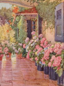 Ortensie sullo scanno, Paradise, Claremont (litografia a colori)