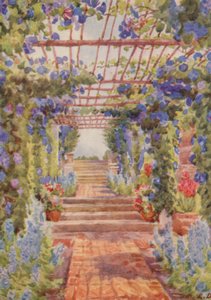 Pergola ricoperta di Ipomoea Learii de Grendel, Tygerberg (litografia a colori)