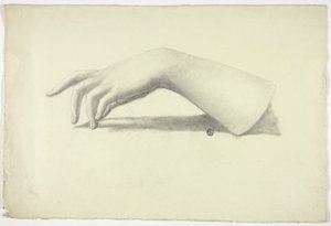 Avambraccio e mano sinistra da Elizabeth Murray