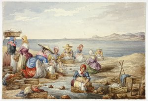 Lavandaia a Nizza