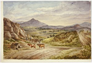 Colline di Wicklow da Elizabeth Murray