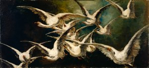 Stormo di oche da Elizabeth Nourse