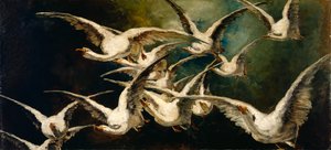 Stormo di oche da Elizabeth Nourse