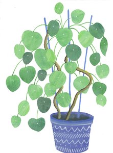 Pianta di Pilea, 2017 (acquerello e collage)