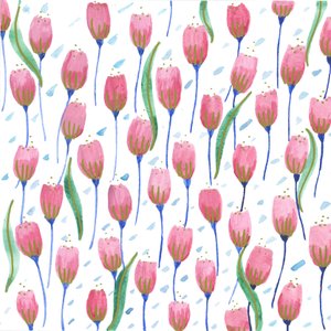 Tulipani rosa, 2017 (acquerello)