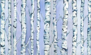Foresta di Silverbirch, 2018 (acquerello e acrilico) da Elizabeth Rider