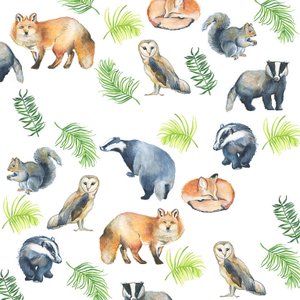 Animali del bosco, 2017 (acquerello) da Elizabeth Rider