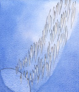 Tra il globo oscuro di questa terra e la gloria del Cielo, si estendeva un 