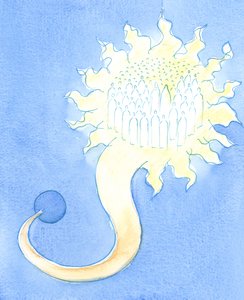 Il cielo è come una casa luminosa molto al di sopra dell