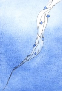 Le nostre intercessioni per le Anime Sante del Purgatorio, nel nome di Gesù, sono come una corda che le attira verso il cielo da Elizabeth Wang