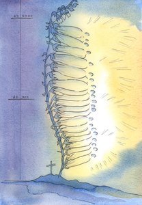 La Chiesa emette germogli viventi di santità per fiorire in ogni epoca, 2003