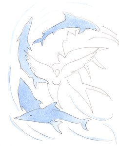 Il 