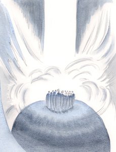 Attraverso Cristo la luce del Cielo ci avvolge ad ogni Messa