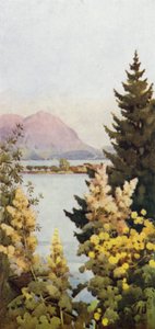Un giardino da Ella Du Cane