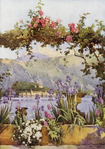 Un giardino a Cadenabbia, Lago di Como da Ella Du Cane