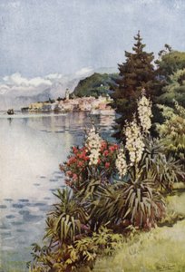 Un Gruppo di Yuccas, Villa Melzi, Lago di Como