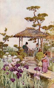 Un giardino di iris da Ella Du Cane