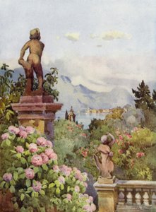 Ortensie, Isola Bella, Lago Maggiore