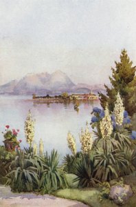 Isola Pescatori da Baveno, Lago Maggiore
