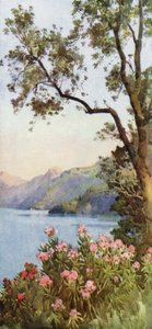 Lago di Lecco, Lago di Como da Ella Du Cane