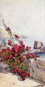 Roccia di Loo, Funchal