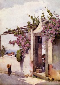 Sulla strada di Torrinhas da Ella Du Cane