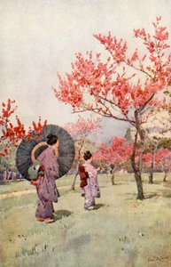 Fiori di Pesco da Ella Du Cane