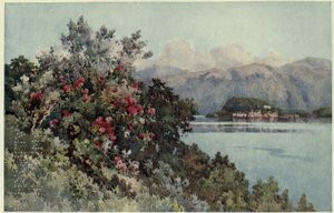 Rose, Villa Carlotta, Lago di Como, Illustrazione da 