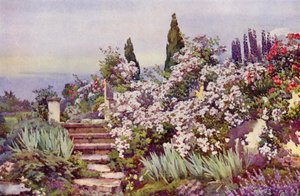 I gradini del giardino da Ella Du Cane