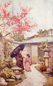 Il fiore di pruno Kobai da Ella Du Cane