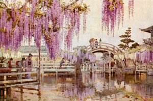 Glicine, Kameido