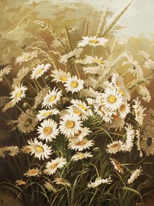 Margherite di Ellen Thayer Fisher